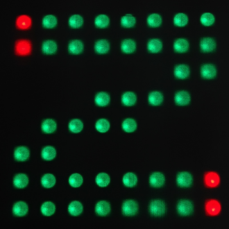 Click image for larger version

Name:	50344950-57c2b480-053e-11e9-9322-c01ed065ab2c.png
Views:	519
Size:	215.2 KB
ID:	371053